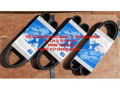 Ремень 8PK1055 ЕВРОПА 2.15363 фото 1 Оренбург