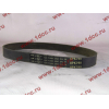 Ремень 8PK790 генератора CDM 855 Lonking CDM (СДМ) 612600090201 фото 2 Оренбург
