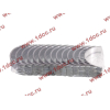 Вкладыши коренные стандарт +0.00 (14шт) LONGGONG CDM833 Lonking CDM (СДМ) 13034908/13034916 фото 2 Оренбург