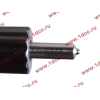 Форсунка в сборе HOKA WD615.95C HOWO (ХОВО) VG1096080010 фото 2 Оренбург